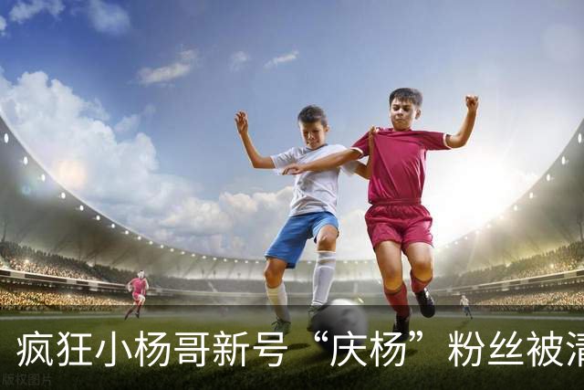 疯狂小杨哥新号“庆杨”粉丝被清零，记者实测：关注不计入粉丝量